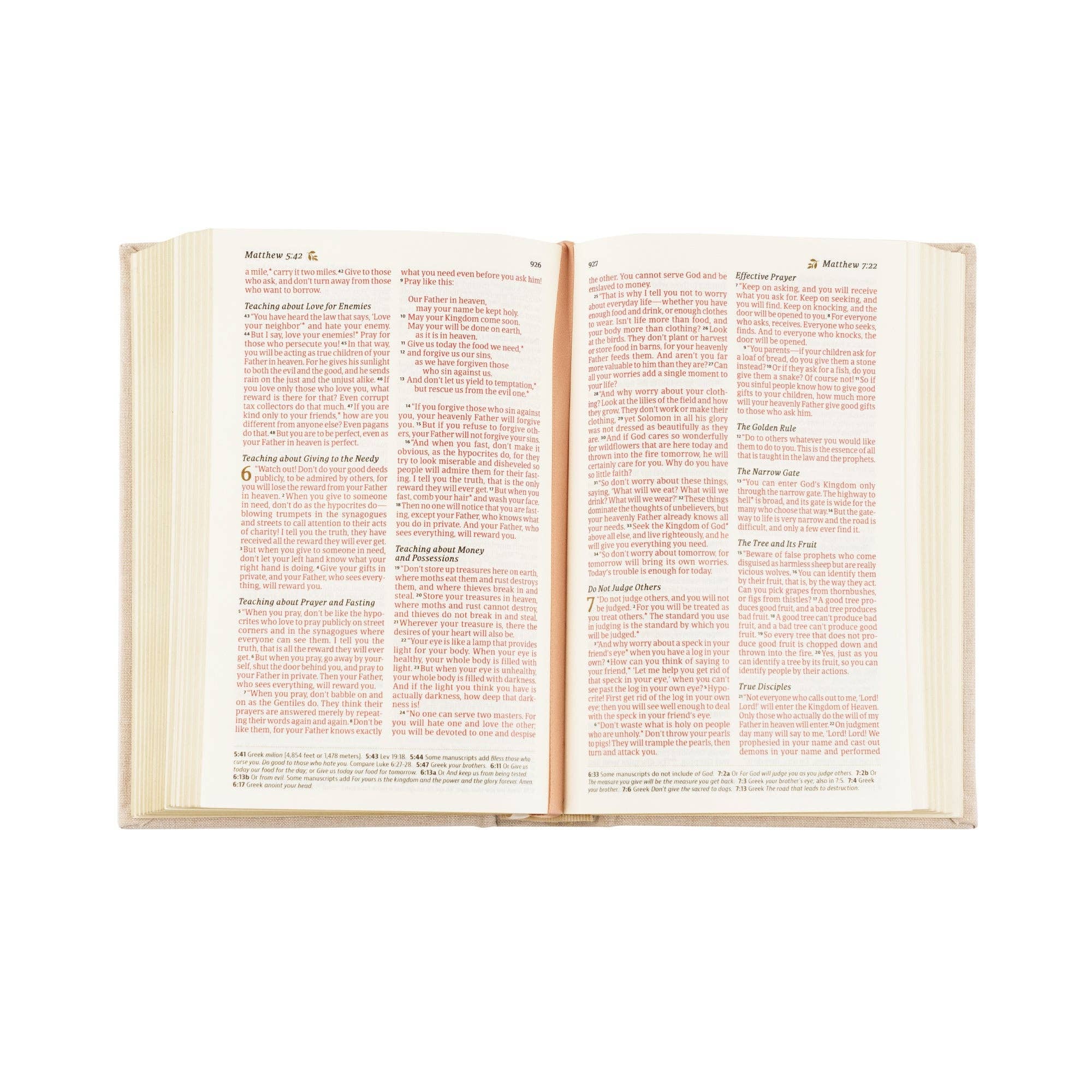 NLT Compact Bible: Casablanca Theme