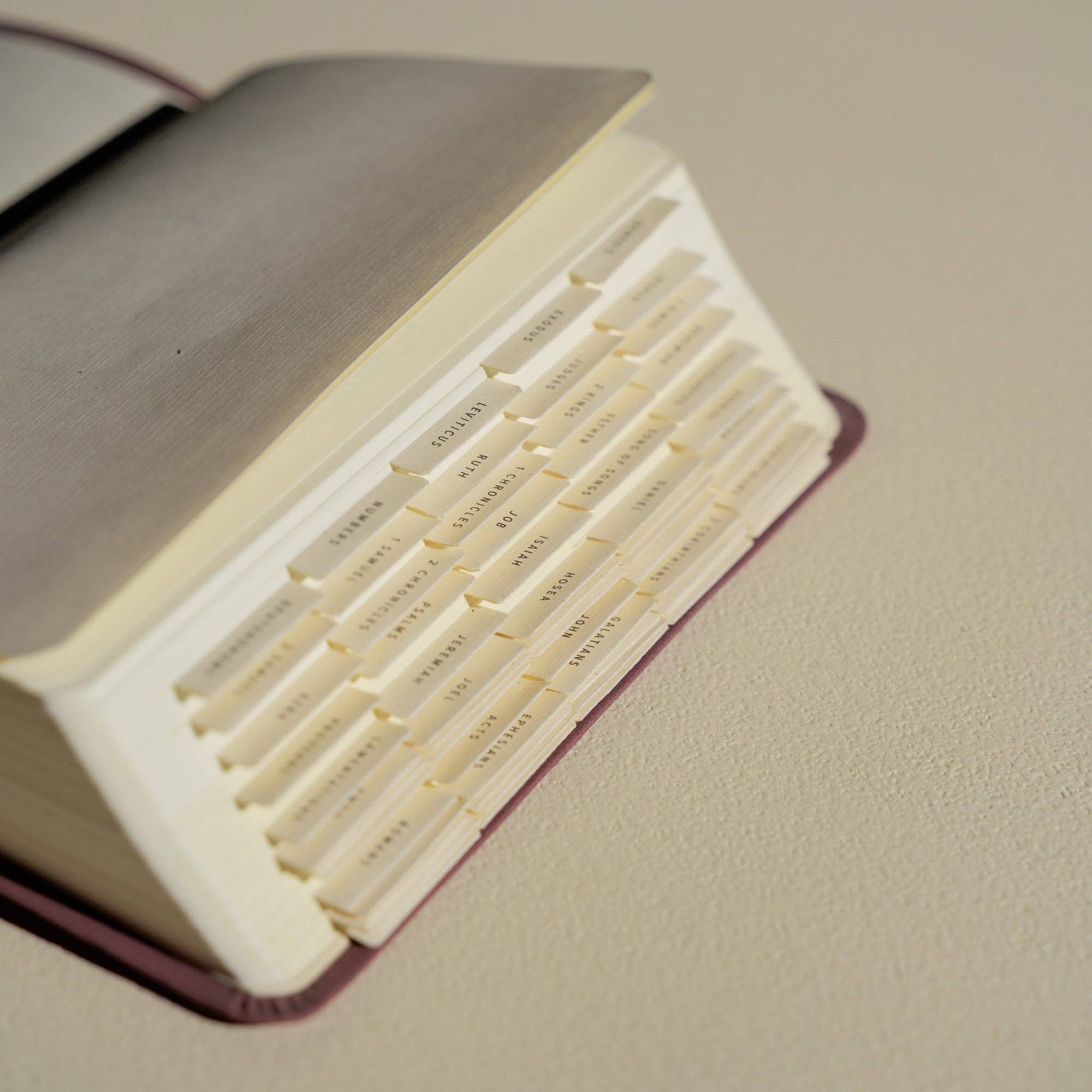 Hosanna Revival Bible Tabs: Black Foiling