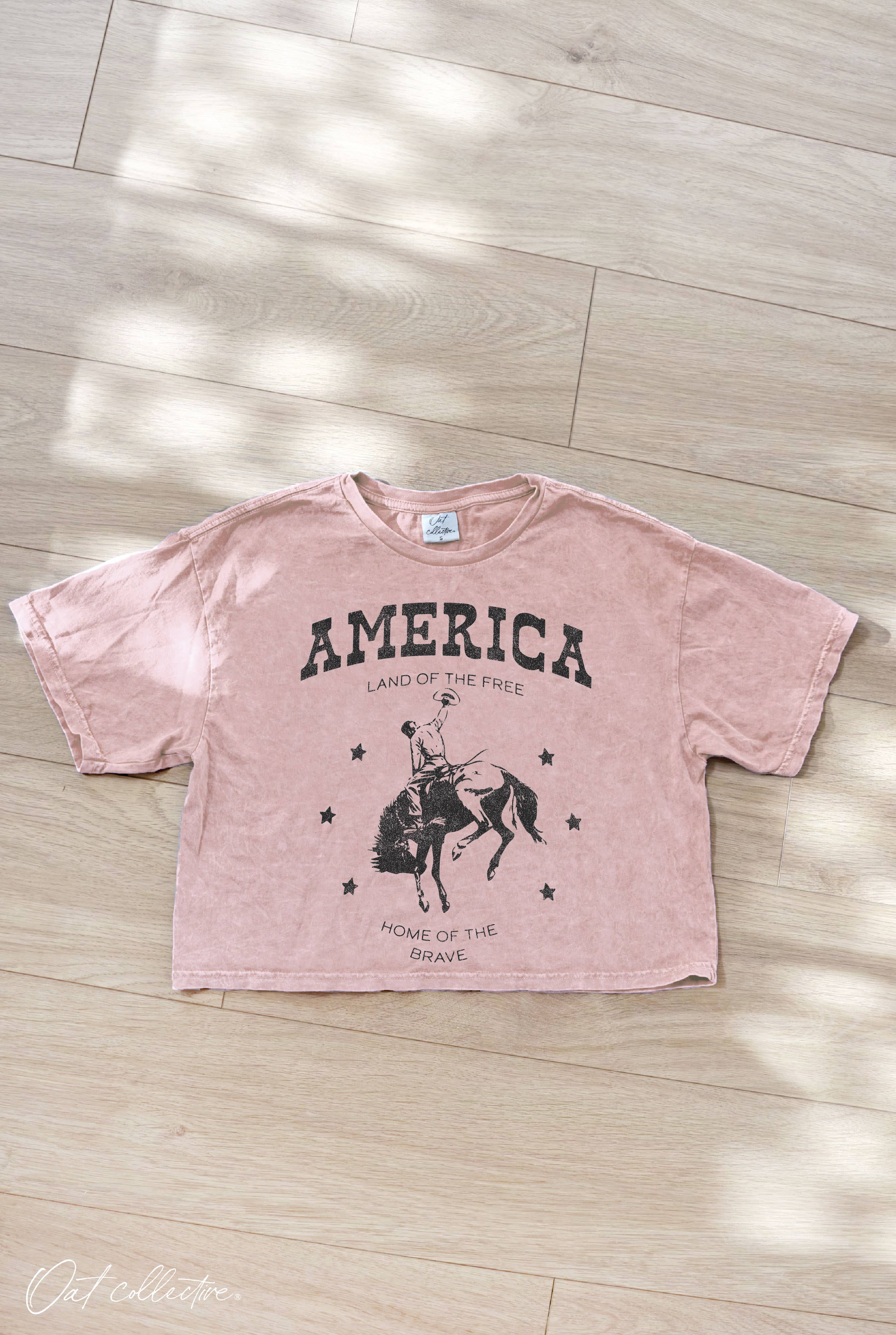 AMERICA Cropped Graphic Top