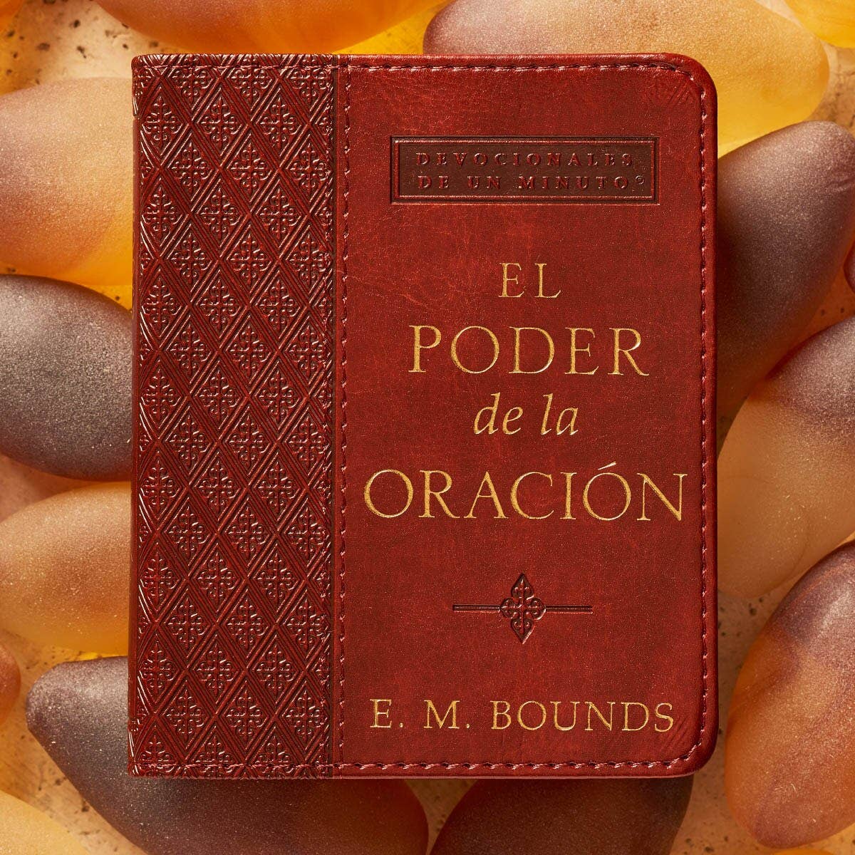 El Poder de la Oración Devocional