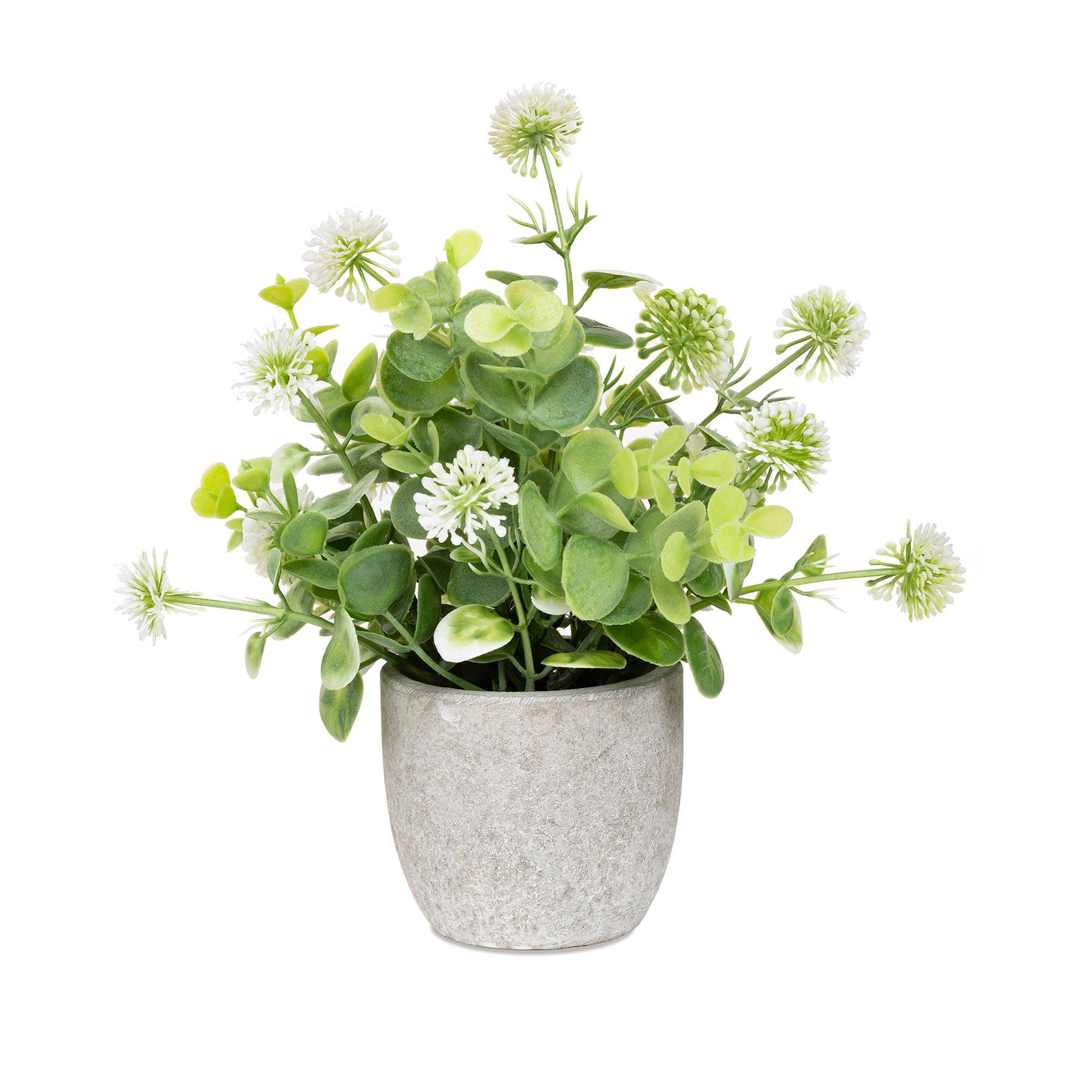 White Flowers in Stone-Like Pot