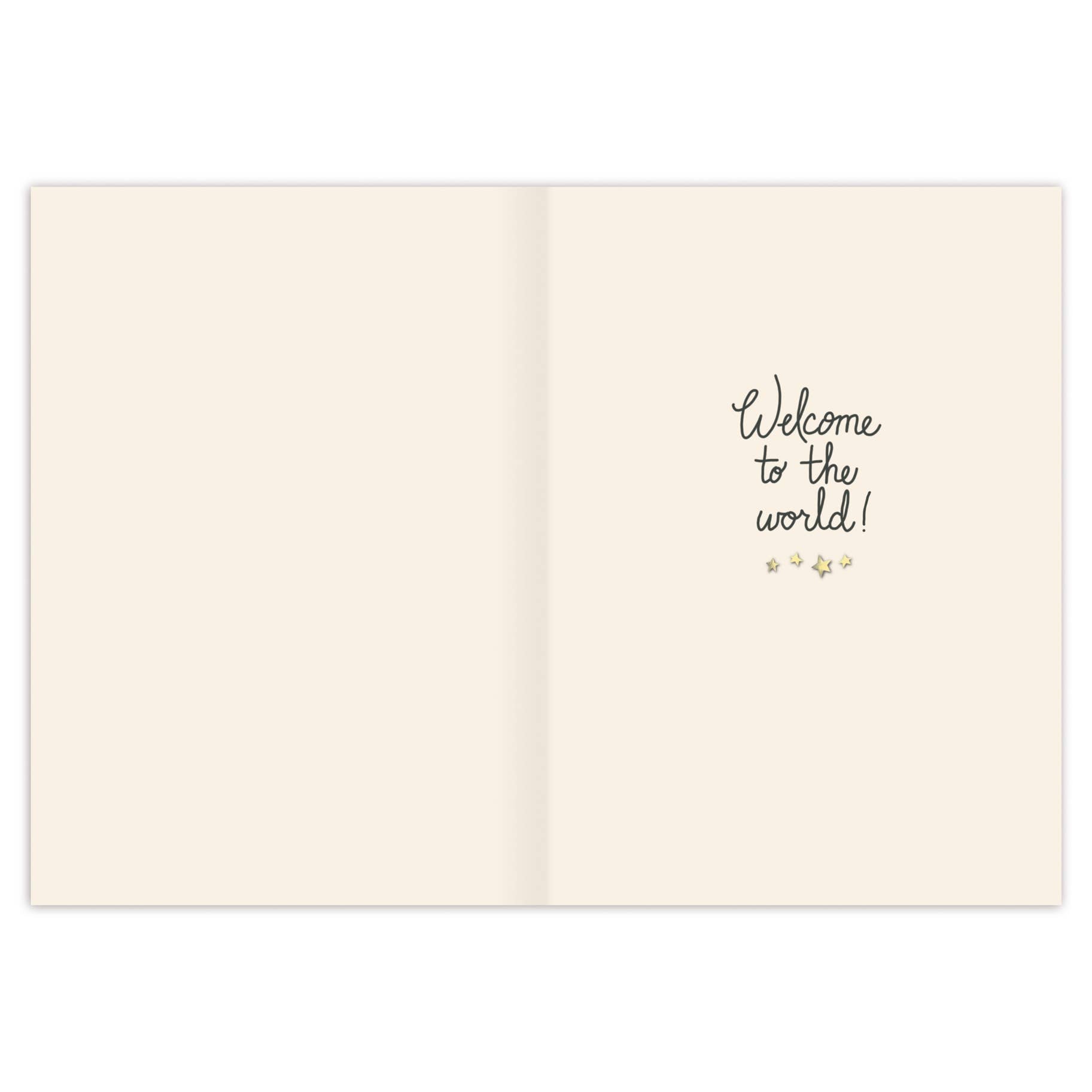 Teddy Bear Baby Card