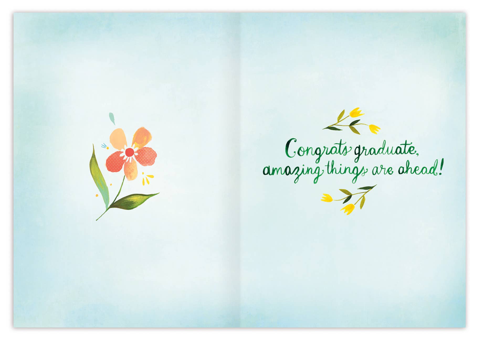 Wonders Graduation Card