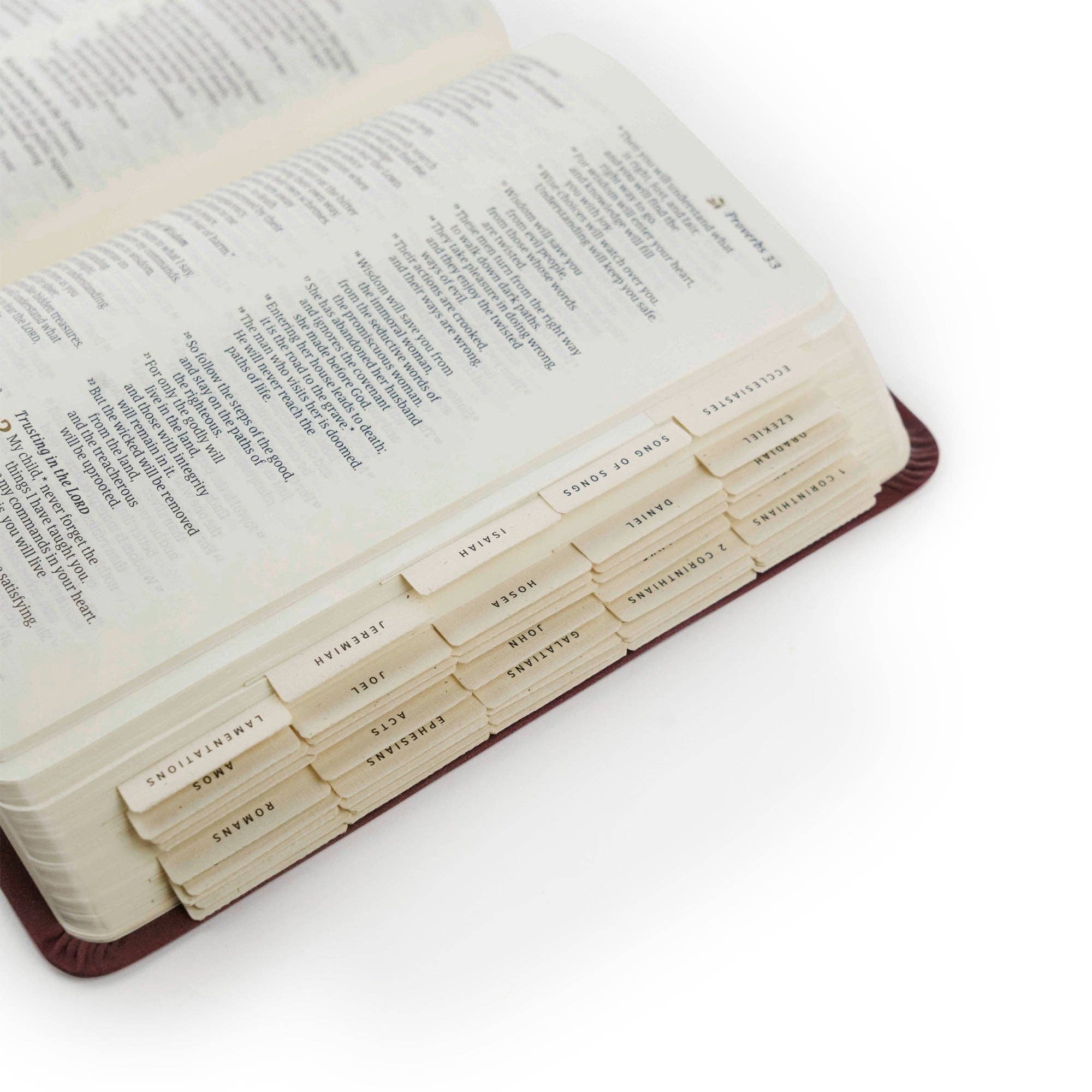 Hosanna Revival Bible Tabs: Black Foiling