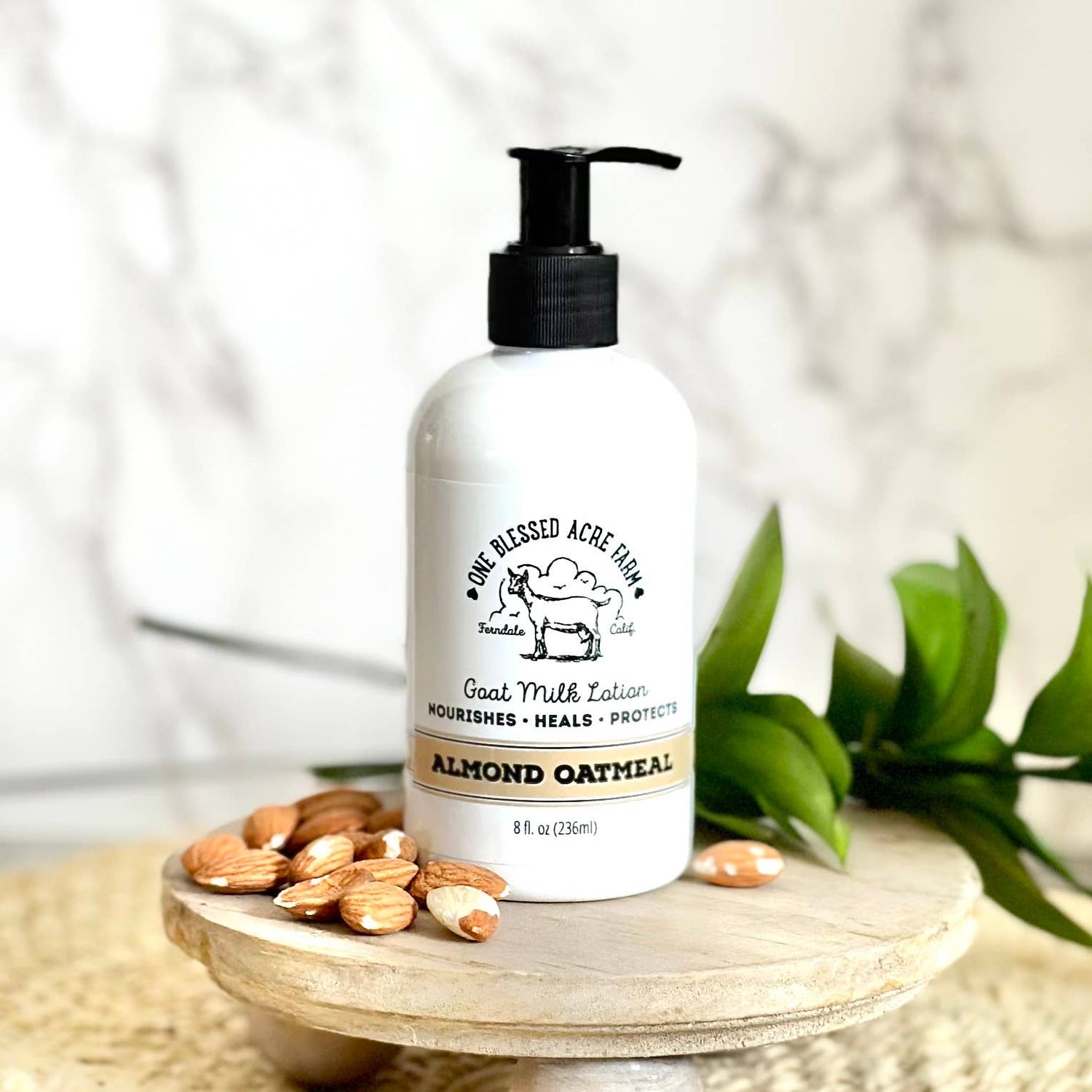 Almond Oatmeal Hydrating Goat Milk Lotion - 2 &amp; 8 oz