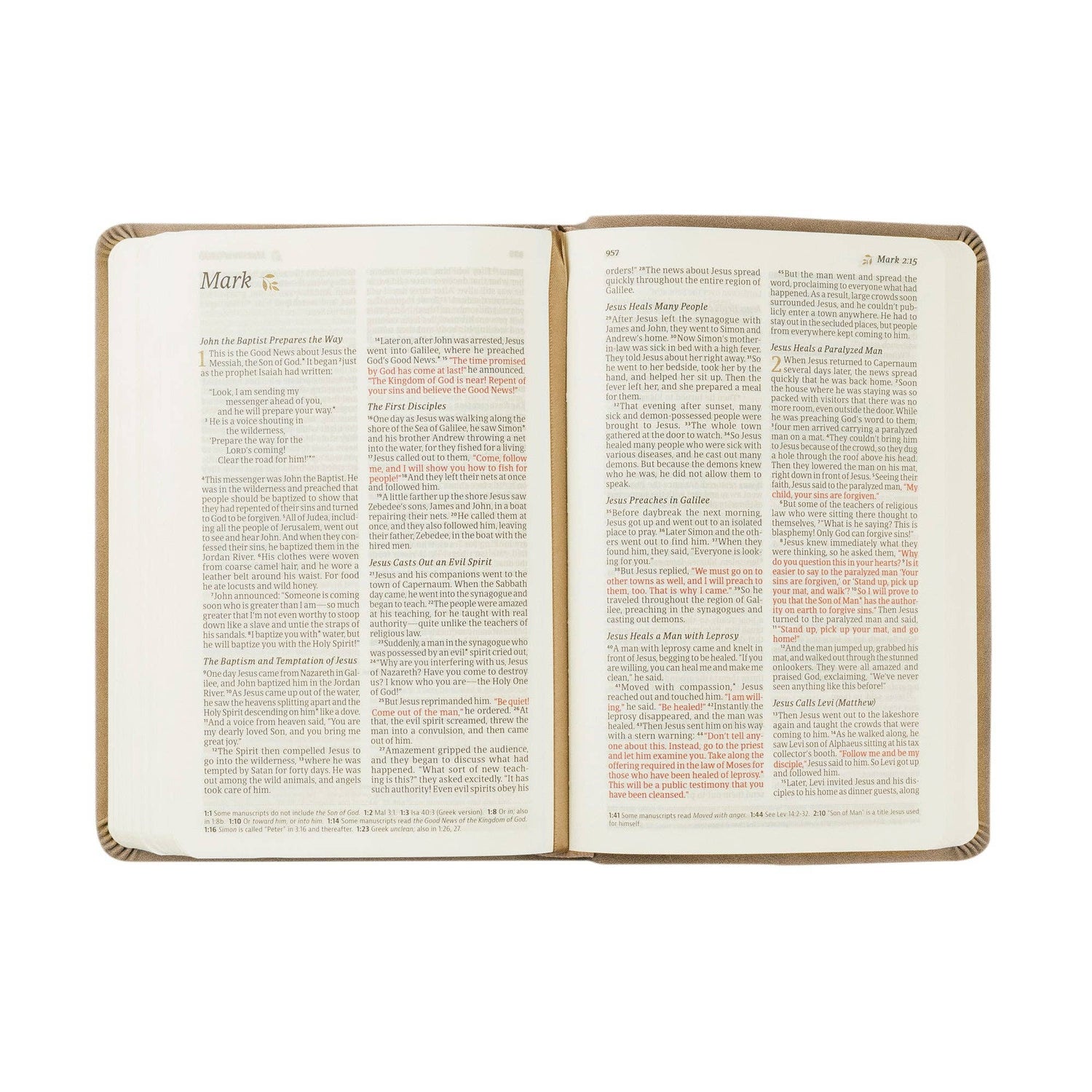 NLT Compact Bible: Marlo Theme