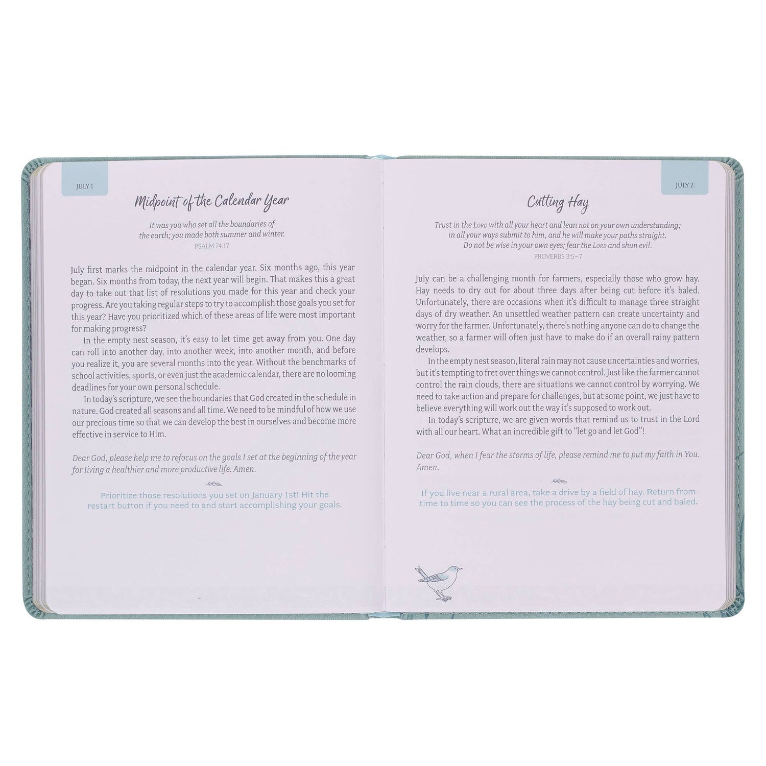 Devotional Daily Hope for  the Empty Nest Faux leather
