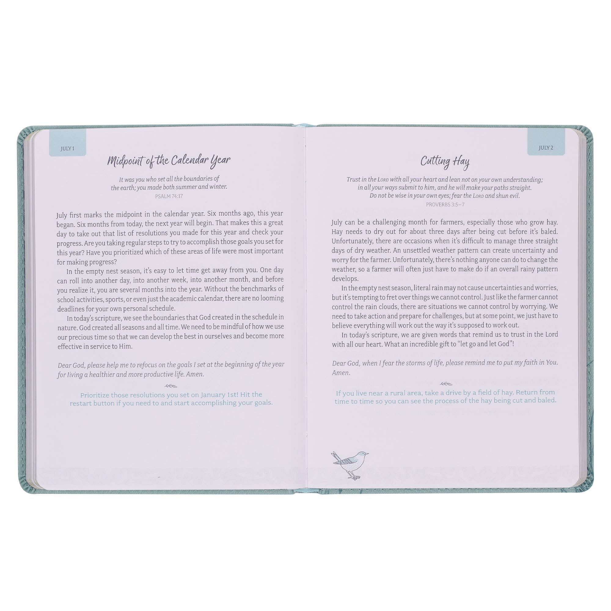 Devotional Daily Hope for  the Empty Nest Faux leather