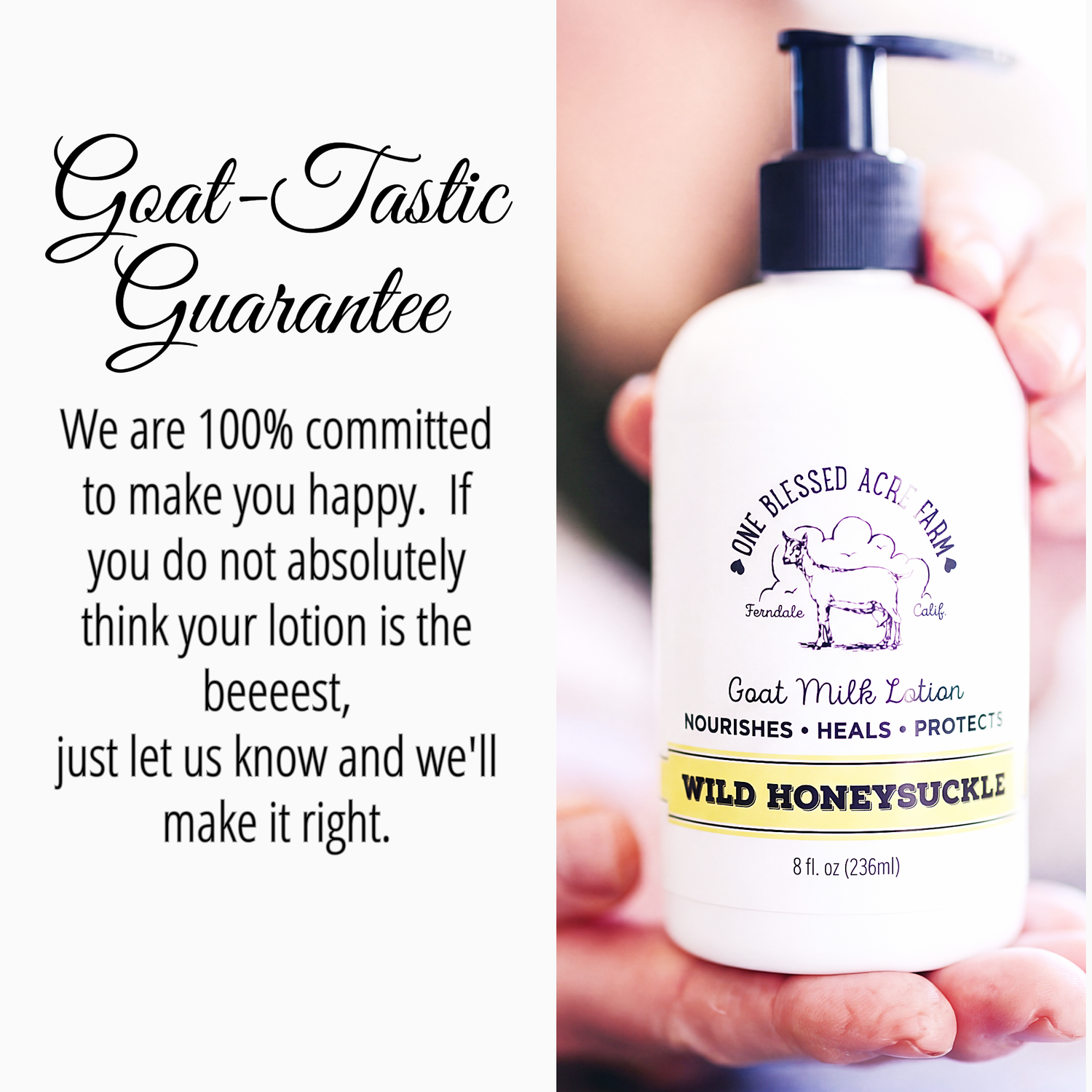 Wild Honeysuckle Goat Milk Lotion