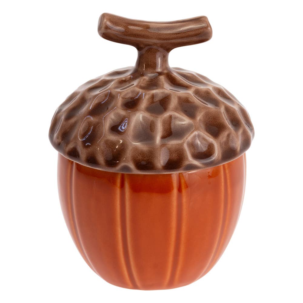 Spicy Orange Acorn Dolomite Covered Jar Fall Autumn