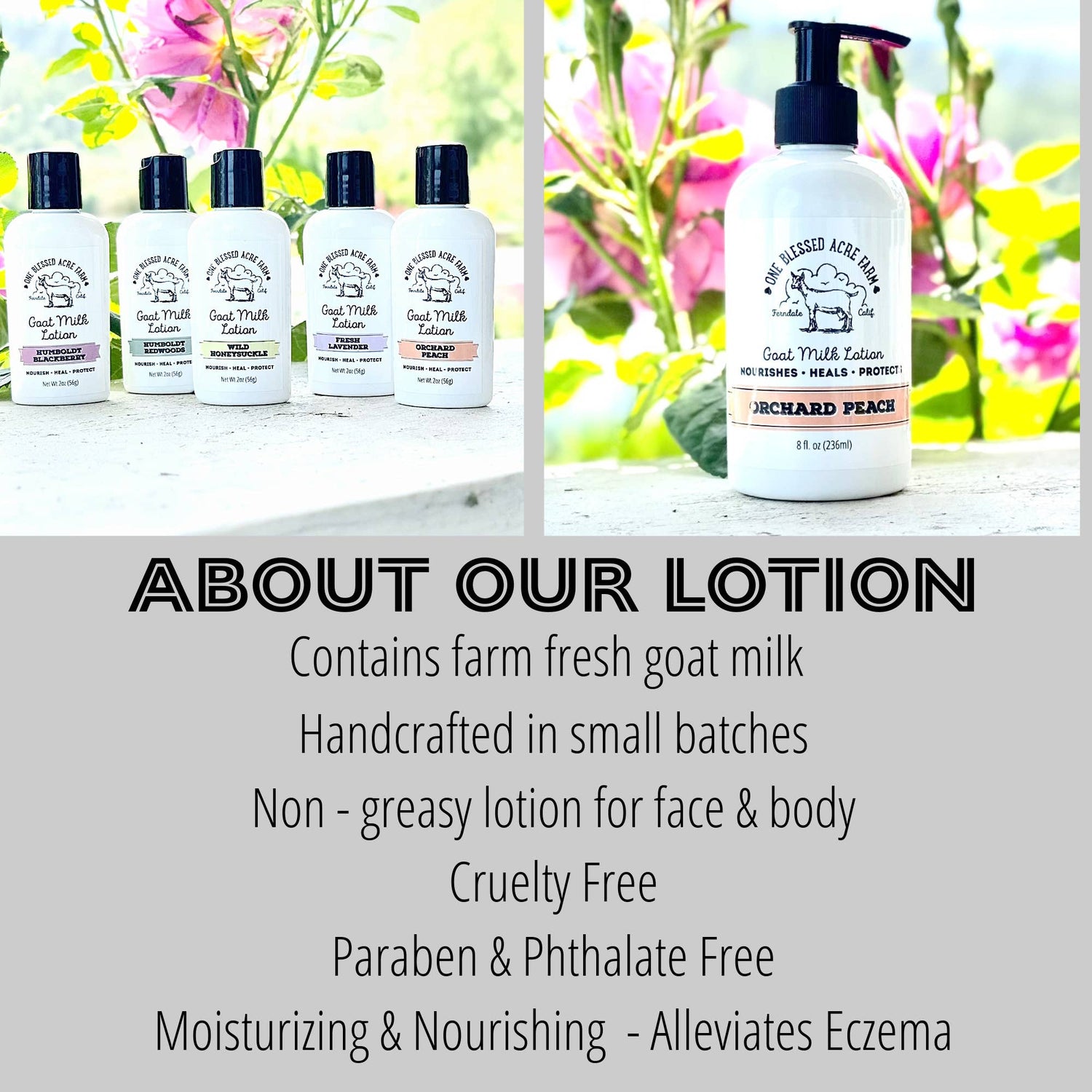 Fresh Lavender Goat Milk Lotion