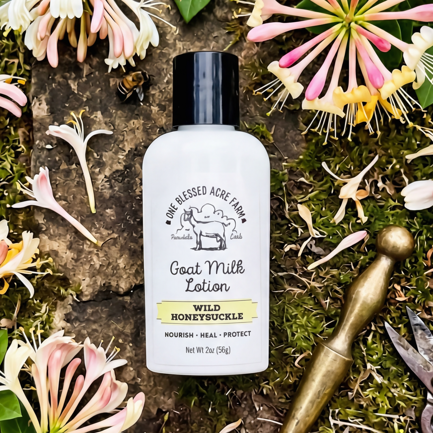 Wild Honeysuckle Goat Milk Lotion