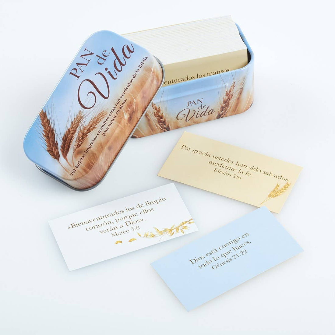 101 Tarjetas de promesas caja de metal