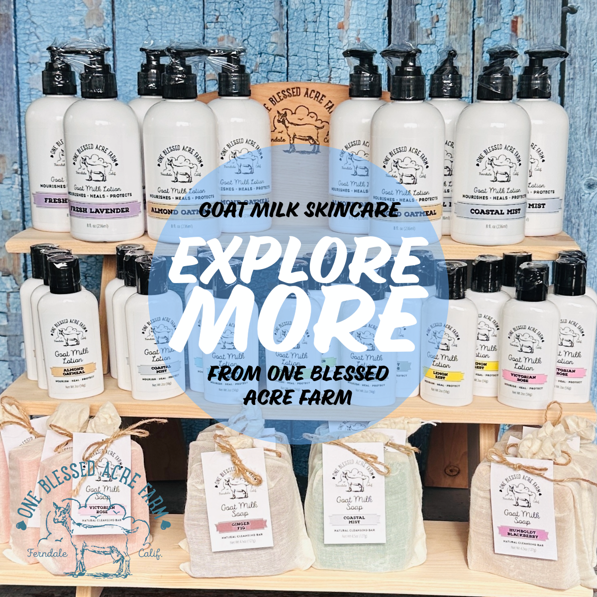 Wild Honeysuckle Goat Milk Lotion