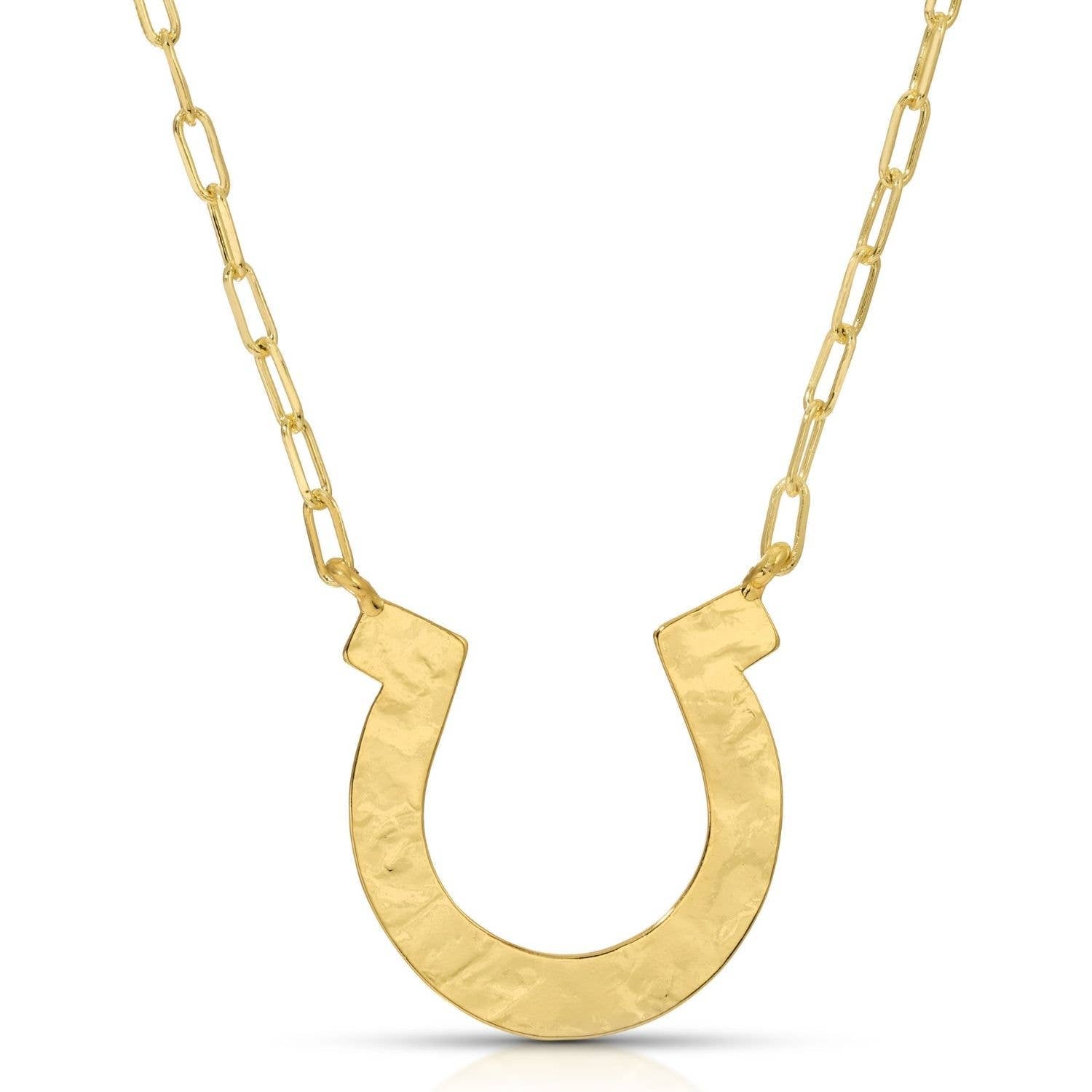 Large Horseshoe Necklace