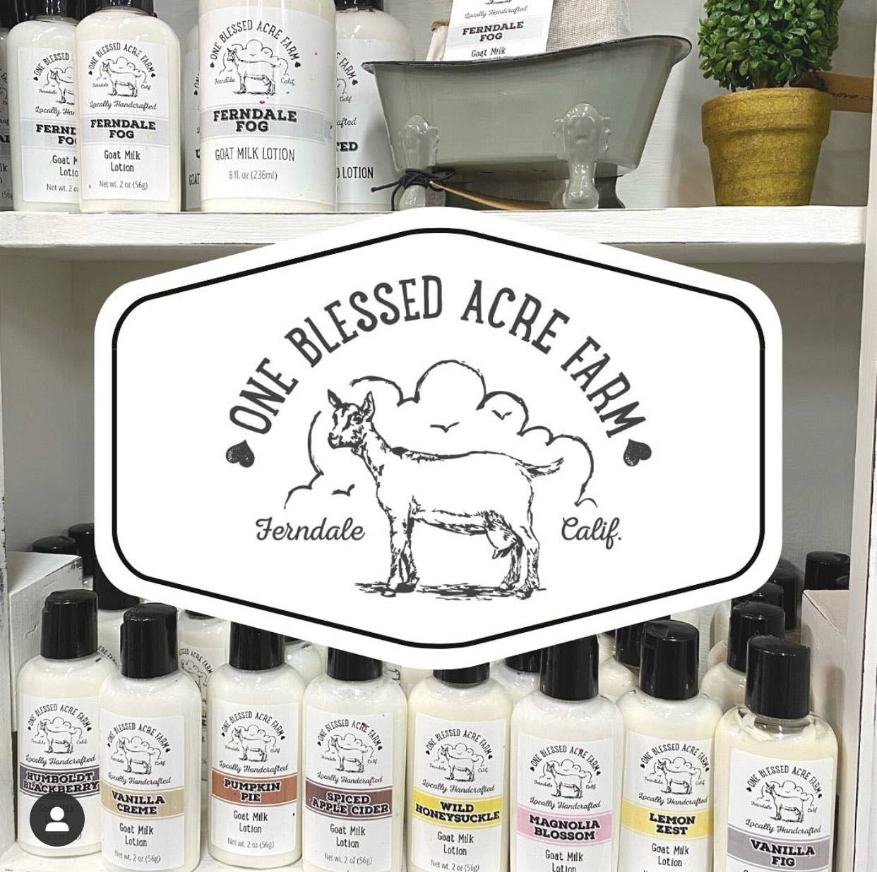 Fresh Lavender Goat Milk Lotion