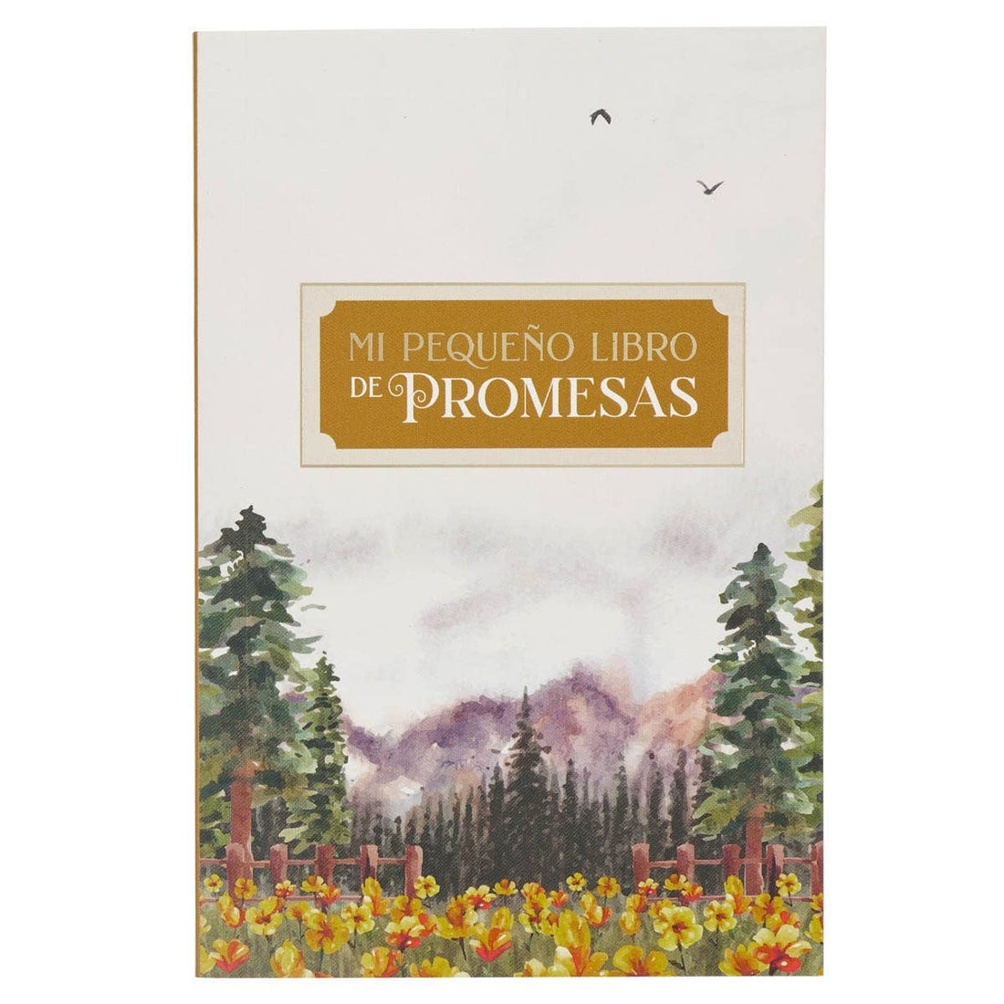 Mi Pequeno Libro De Promesas