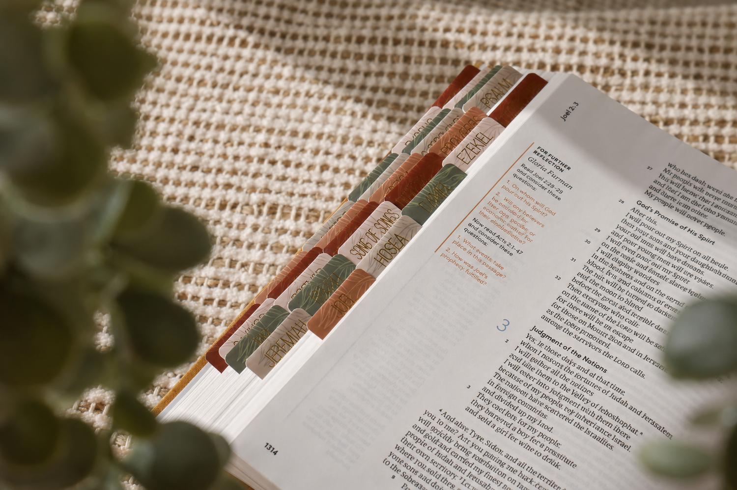 Bible Tabs — Earth Tone + Gold Foil