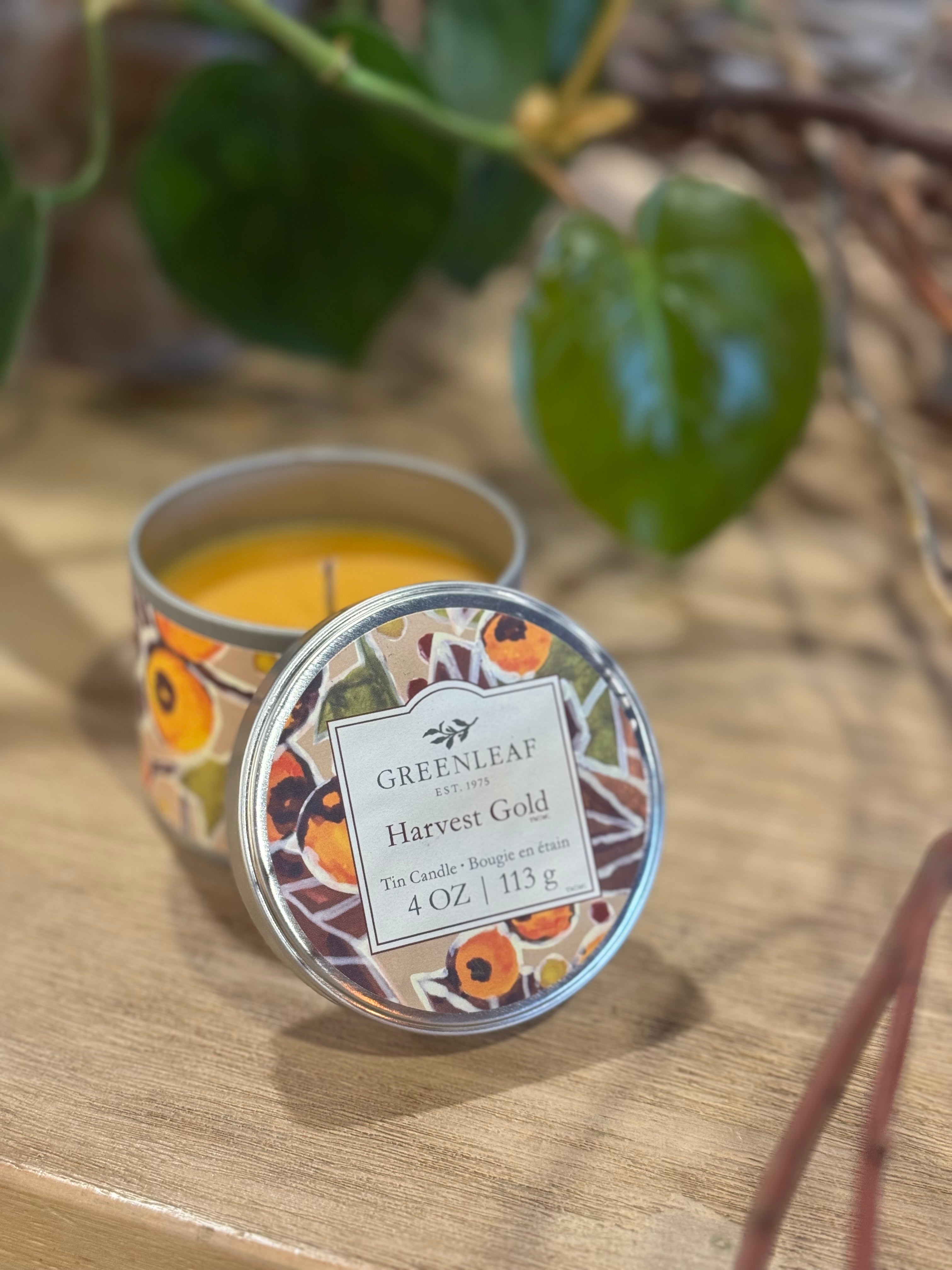 Greenleaf Tin Candle