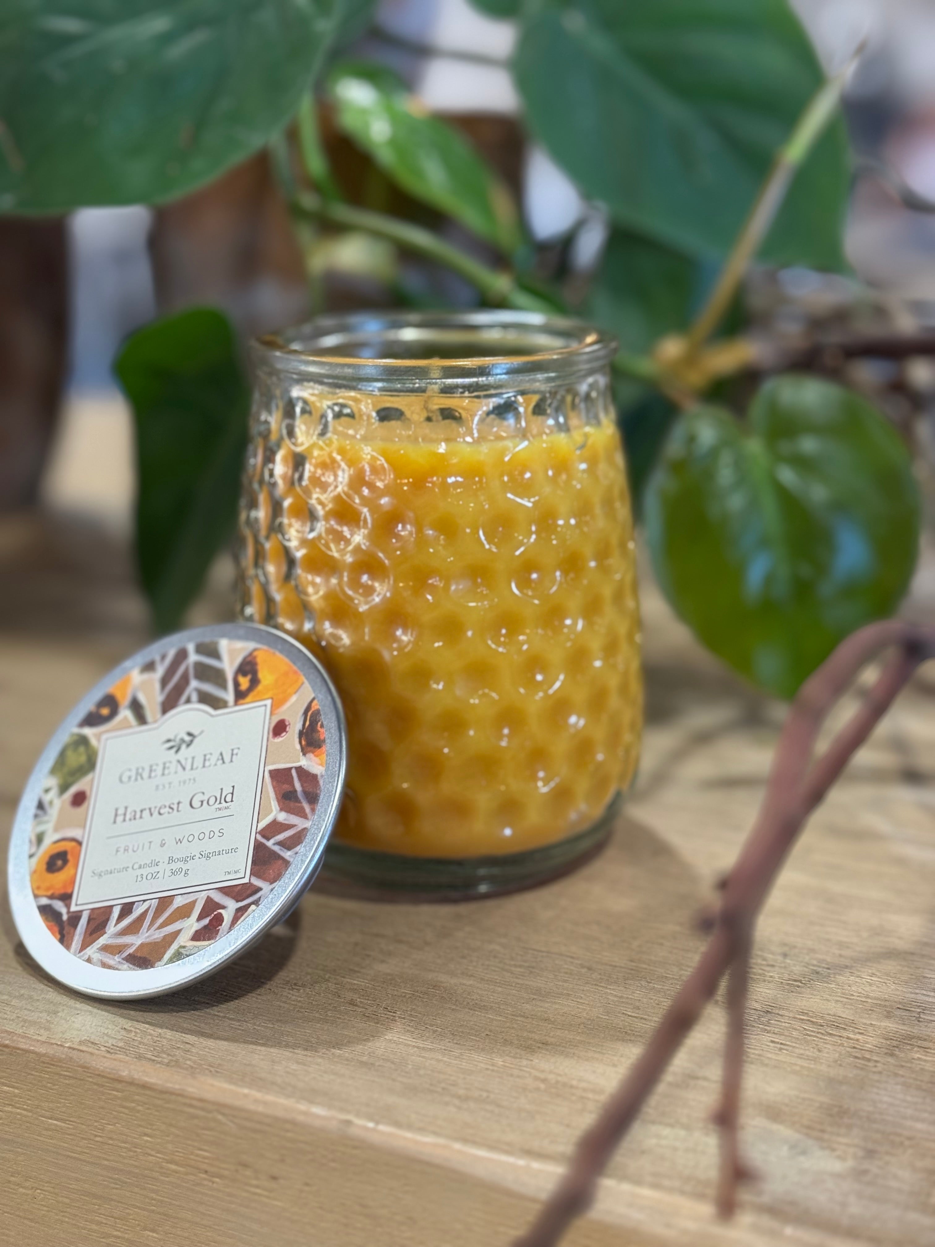 Greenleaf Signature Candle