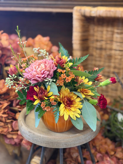 Autumn Acorn