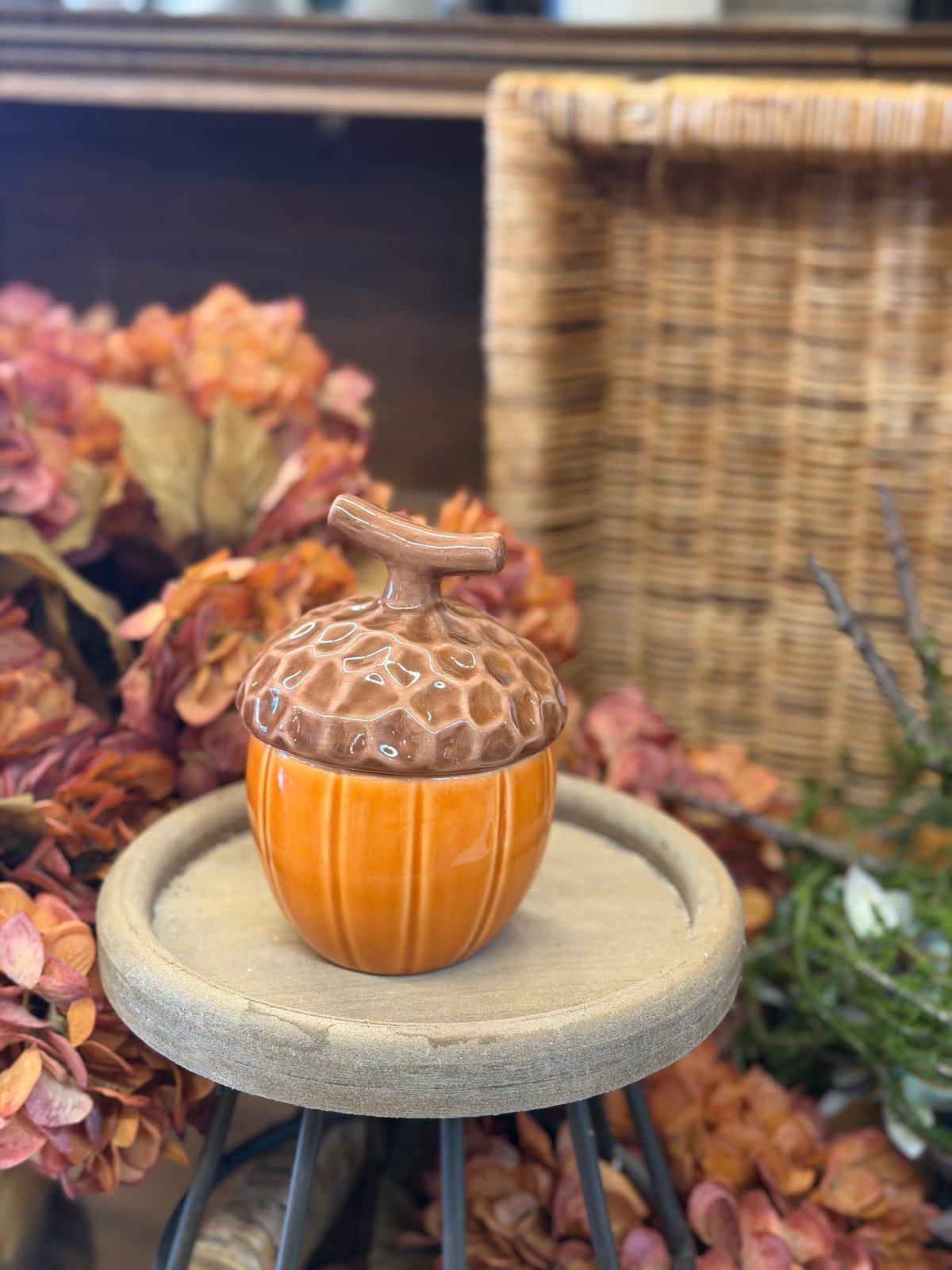 Autumn Acorn