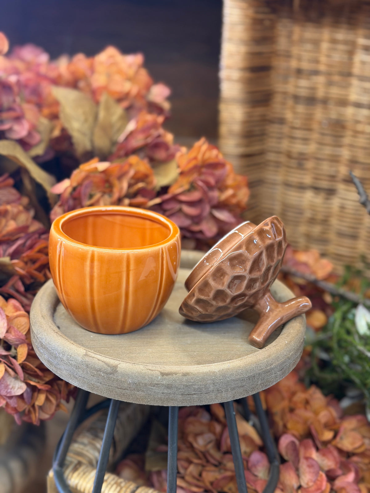 Autumn Acorn