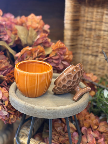 Autumn Acorn