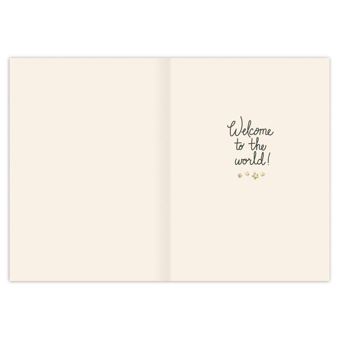 Teddy Bear Baby Card