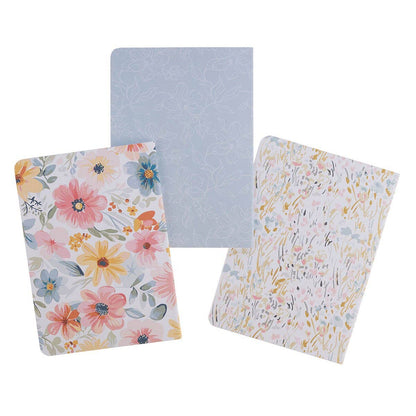 Notebook Set 3pc LG Teachers Plant Seeds