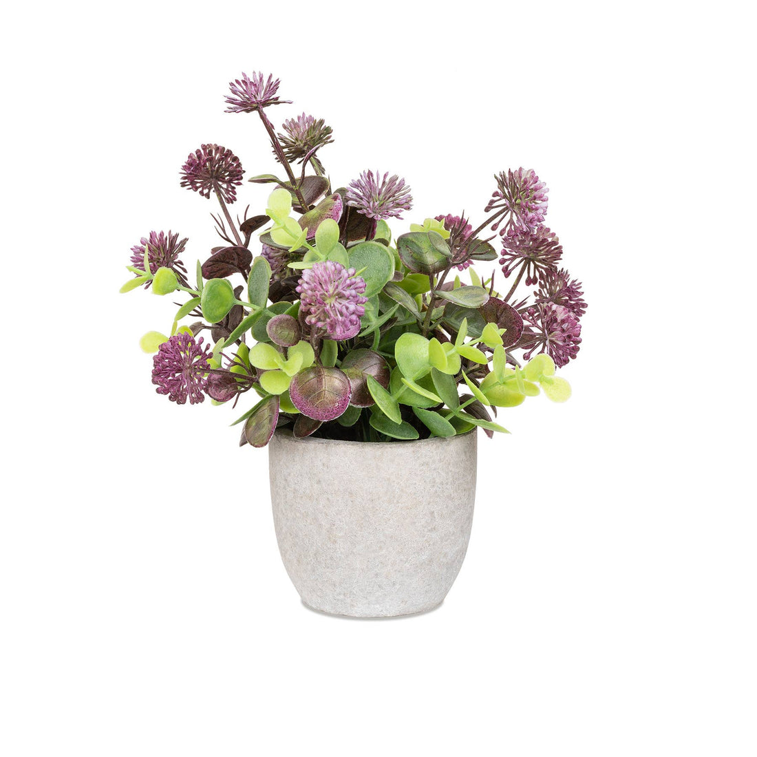Purple Flowers in Stone-Like Pot