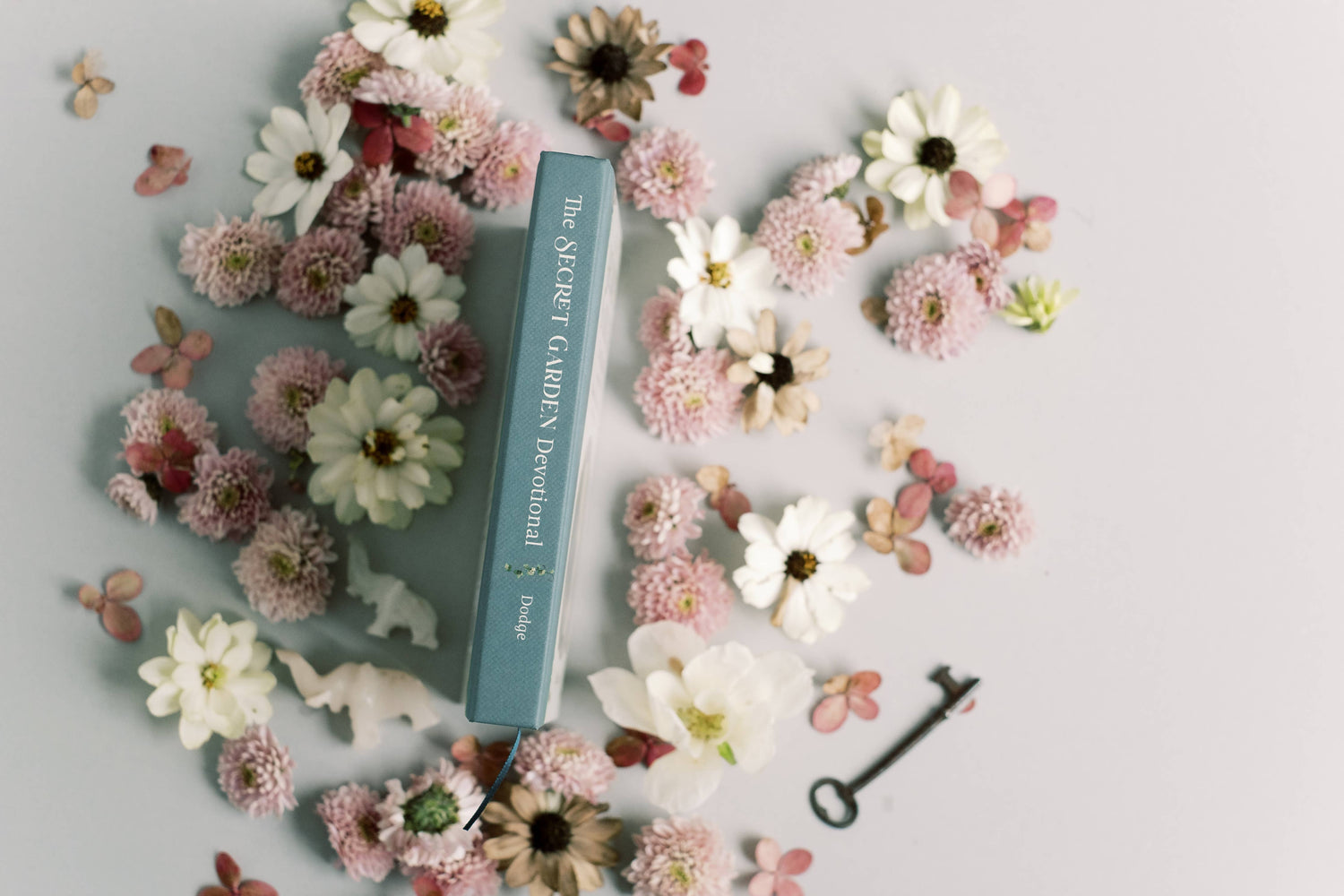 The Secret Garden Devotional